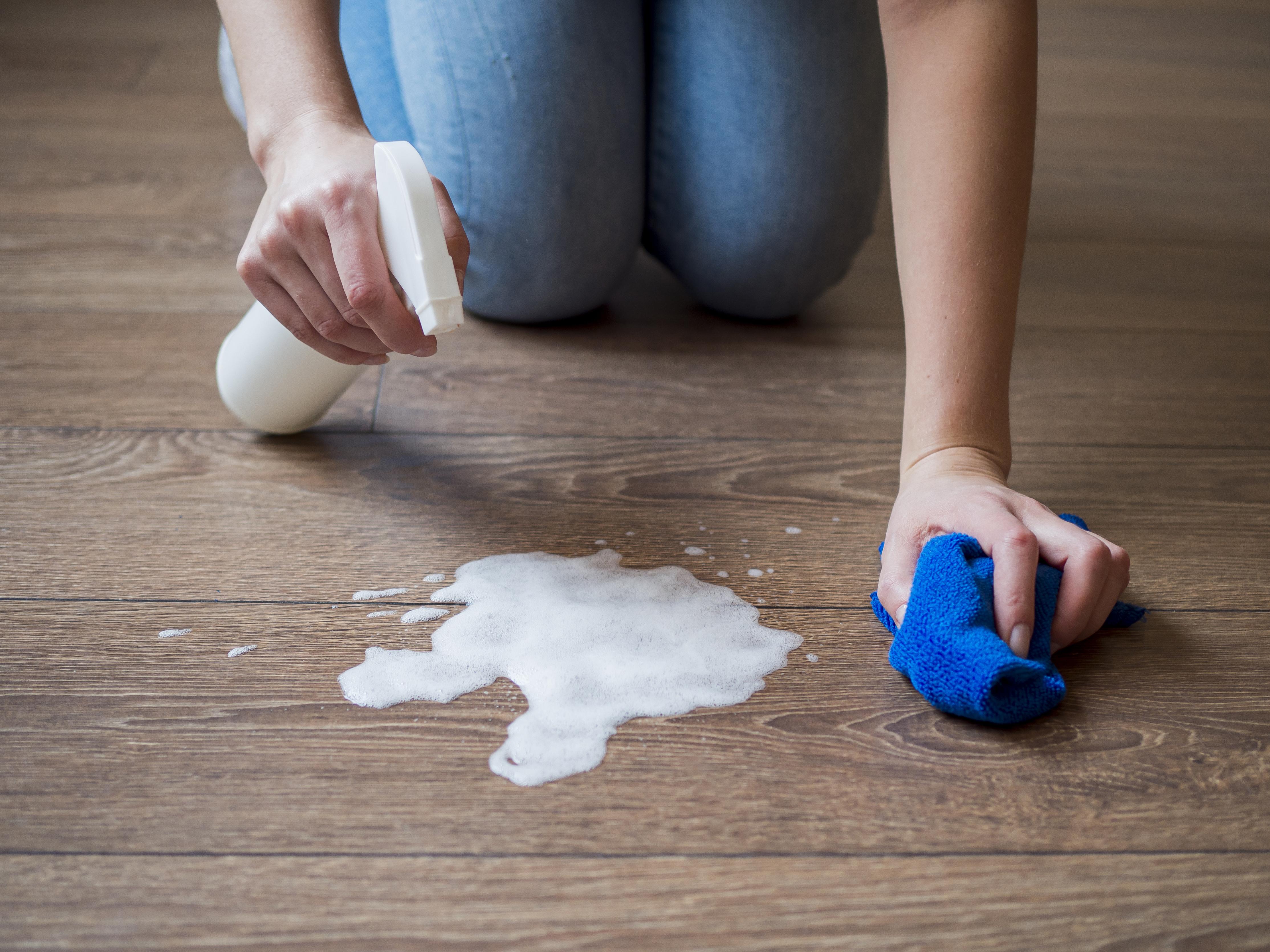 Photo of Cartagena's cathedral at the background and some colonial style houses